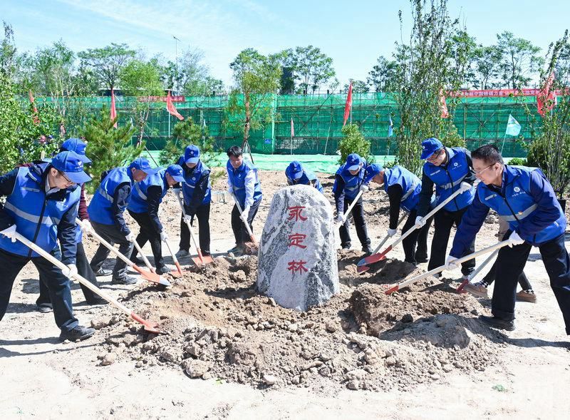 永定河流域各地植绿护绿活动掀热潮