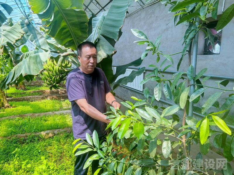 南口农场科技创新迈出坚实步伐