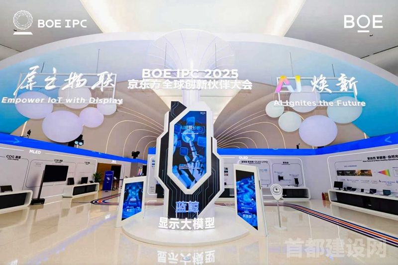 2025京东方全球创新伙伴大会举行